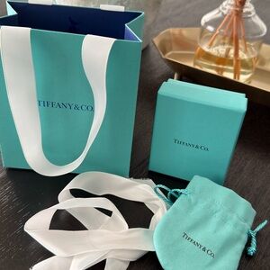 2026 Tiffany & Co. Turquoise Shopping Bag